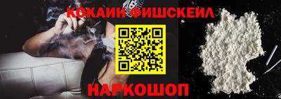 индика Кингисепп