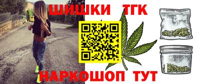 индика Кингисепп