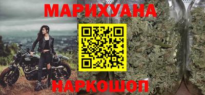 индика Кингисепп