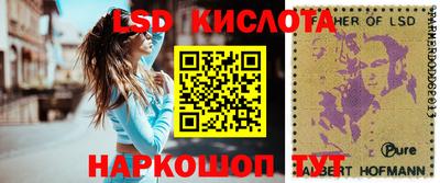 индика Кингисепп