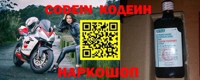 индика Кингисепп