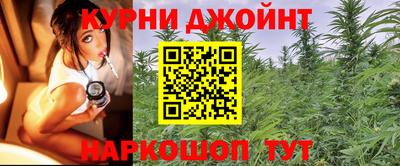 индика Кингисепп