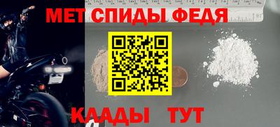 индика Кингисепп