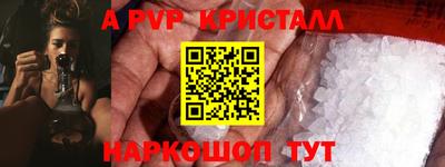 индика Кингисепп