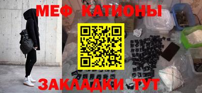 индика Кингисепп