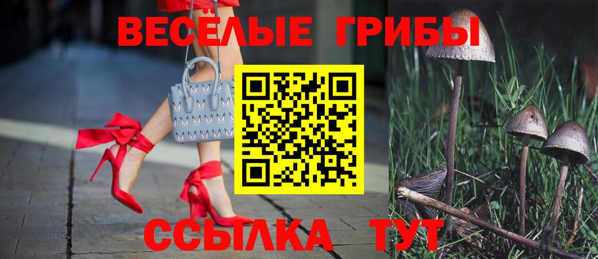 Псилоцибиновые грибы GOLDEN TEACHER Гусь-Хрустальный