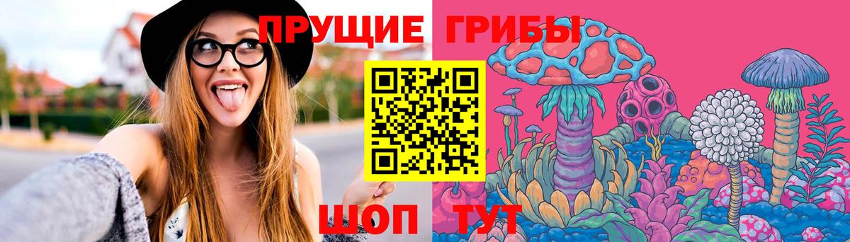 Галлюциногенные грибы Psilocybe  Вход с VPN  Галлюциногенные грибы Psilocybine cubensis  цены   Гусь-Хрустальный 